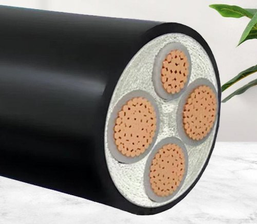 选择电力电缆截面时，有哪些规定？